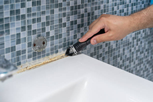Best Residential Mold Remediation in Scottdale, GA